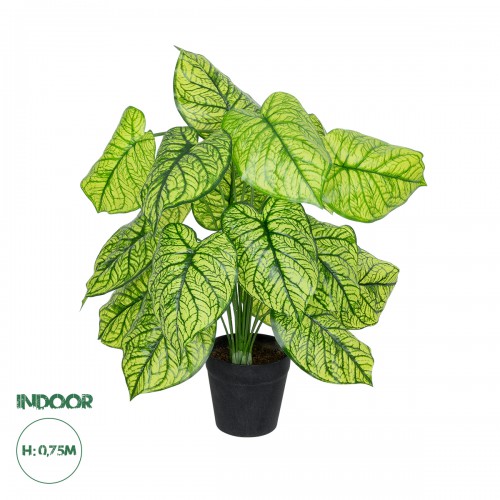 GloboStar® Artificial Garden CALADIUM 20913 Διακοσμητικό Φυτό Καλάντιουμ Υ75cm Διακόσμηση - Φως - Χαλιά