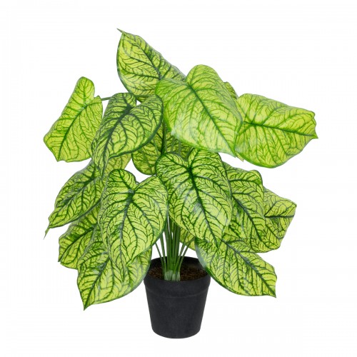 GloboStar® Artificial Garden CALADIUM 20913 Διακοσμητικό Φυτό Καλάντιουμ Υ75cm Διακόσμηση - Φως - Χαλιά
