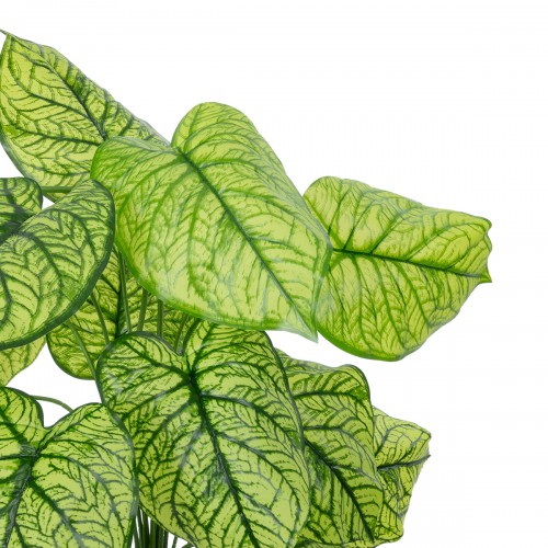 GloboStar® Artificial Garden CALADIUM 20913 Διακοσμητικό Φυτό Καλάντιουμ Υ75cm Διακόσμηση - Φως - Χαλιά