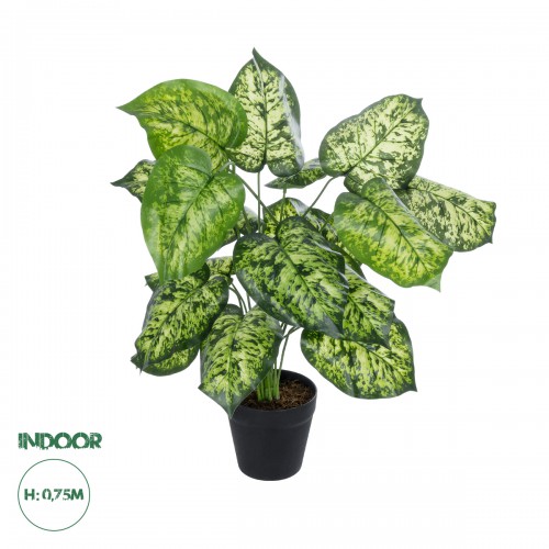 GloboStar® Artificial Garden DIEFFENBACHIA 20914 Διακοσμητικό Φυτό Υ75cm Διακόσμηση - Φως - Χαλιά GloboStar® Artificial Garden DIEFFENBACHIA 20914 Διακοσμητικό Φυτό Υ75cm Διακόσμηση - Φως - Χαλιά