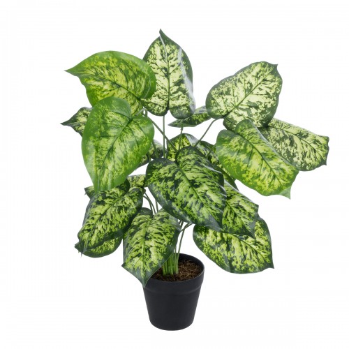 GloboStar® Artificial Garden DIEFFENBACHIA 20914 Διακοσμητικό Φυτό Υ75cm Διακόσμηση - Φως - Χαλιά GloboStar® Artificial Garden DIEFFENBACHIA 20914 Διακοσμητικό Φυτό Υ75cm Διακόσμηση - Φως - Χαλιά