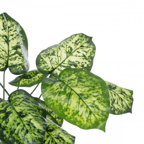 GloboStar® Artificial Garden DIEFFENBACHIA 20914 Διακοσμητικό Φυτό Υ75cm Διακόσμηση - Φως - Χαλιά GloboStar® Artificial Garden DIEFFENBACHIA 20914 Διακοσμητικό Φυτό Υ75cm Διακόσμηση - Φως - Χαλιά