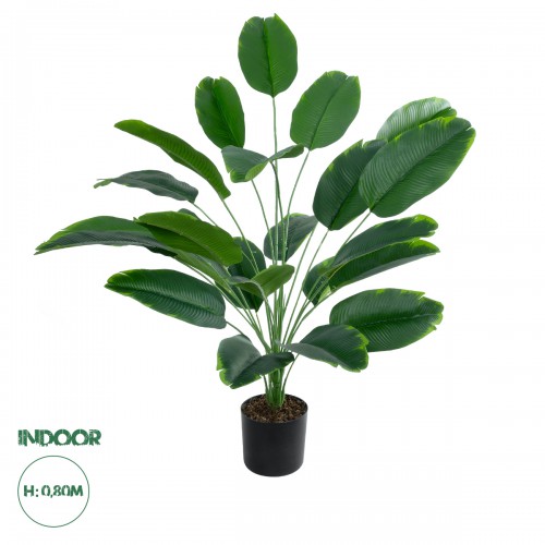 GloboStar® Artificial Garden YOUNG BANANA 20916 Διακοσμητικό Φυτό Νεαρή Μπανανιά Υ80cm Διακόσμηση - Φως - Χαλιά