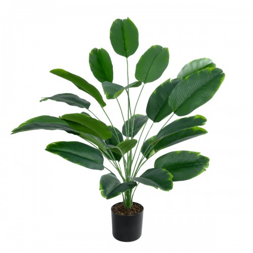 GloboStar® Artificial Garden YOUNG BANANA 20916 Διακοσμητικό Φυτό Νεαρή Μπανανιά Υ80cm Διακόσμηση - Φως - Χαλιά