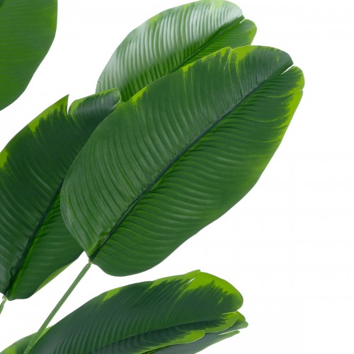 GloboStar® Artificial Garden YOUNG BANANA 20916 Διακοσμητικό Φυτό Νεαρή Μπανανιά Υ80cm Διακόσμηση - Φως - Χαλιά