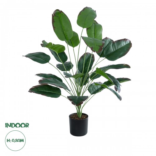 GloboStar® Artificial Garden OLD BANANA 20917 Διακοσμητικό Φυτό Ώριμη Μπανανιά Υ80cm Διακόσμηση - Φως - Χαλιά GloboStar® Artificial Garden OLD BANANA 20917 Διακοσμητικό Φυτό Ώριμη Μπανανιά Υ80cm Διακόσμηση - Φως - Χαλιά