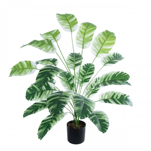GloboStar® Artificial Garden BANANA ZEBRA 20918 Διακοσμητικό Φυτό Μπανανιά Ζέβρα Υ80cm Διακόσμηση - Φως - Χαλιά