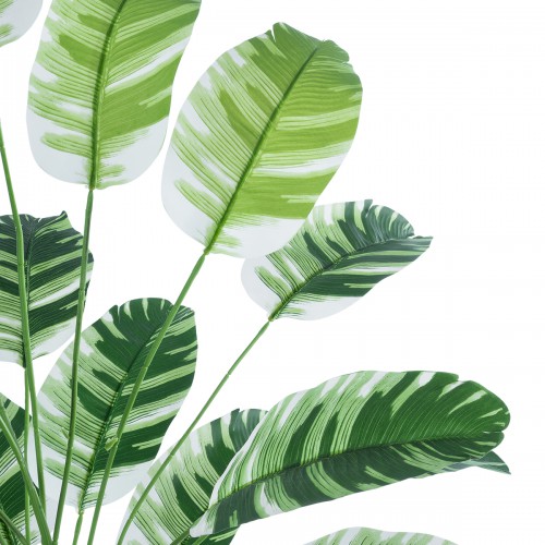 GloboStar® Artificial Garden BANANA ZEBRA 20918 Διακοσμητικό Φυτό Μπανανιά Ζέβρα Υ80cm Διακόσμηση - Φως - Χαλιά