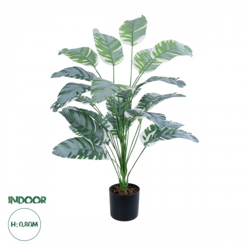 GloboStar® Artificial Garden BANANA ZEBRA 20919 Διακοσμητικό Φυτό Μπανανιά Ζέβρα Υ80cm Διακόσμηση - Φως - Χαλιά