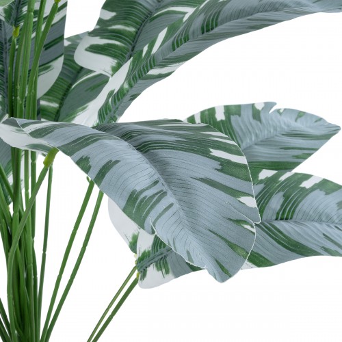 GloboStar® Artificial Garden BANANA ZEBRA 20919 Διακοσμητικό Φυτό Μπανανιά Ζέβρα Υ80cm Διακόσμηση - Φως - Χαλιά