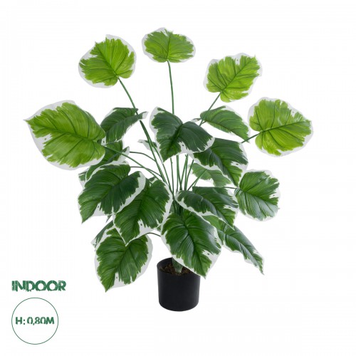 GloboStar® Artificial Garden WHITE HOSTA 20920 Διακοσμητικό Φυτό Λευκή Χόστα Υ80cm Διακόσμηση - Φως - Χαλιά