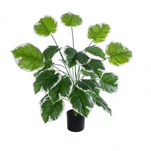 GloboStar® Artificial Garden WHITE HOSTA 20920 Διακοσμητικό Φυτό Λευκή Χόστα Υ80cm Διακόσμηση - Φως - Χαλιά