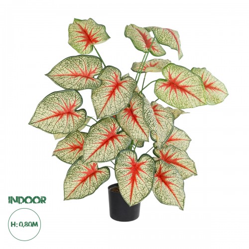 GloboStar® Artificial Garden CALADIUM PLANT 20921 Διακοσμητικό Φυτό Καλάντιουμ Φ75 x Υ80cm GloboStar® Artificial Garden CALADIUM PLANT 20921 Διακοσμητικό Φυτό Καλάντιουμ Φ75 x Υ80cm