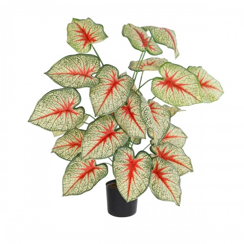 GloboStar® Artificial Garden CALADIUM PLANT 20921 Διακοσμητικό Φυτό Καλάντιουμ Φ75 x Υ80cm GloboStar® Artificial Garden CALADIUM PLANT 20921 Διακοσμητικό Φυτό Καλάντιουμ Φ75 x Υ80cm