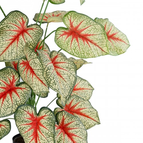 GloboStar® Artificial Garden CALADIUM PLANT 20921 Διακοσμητικό Φυτό Καλάντιουμ Φ75 x Υ80cm GloboStar® Artificial Garden CALADIUM PLANT 20921 Διακοσμητικό Φυτό Καλάντιουμ Φ75 x Υ80cm