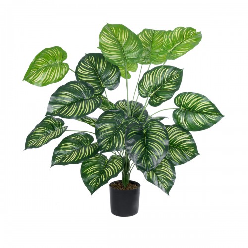 GloboStar® Artificial Garden CALATHEA 20922 Διακοσμητικό Φυτό Καλαθέα Υ80cm Διακόσμηση - Φως - Χαλιά