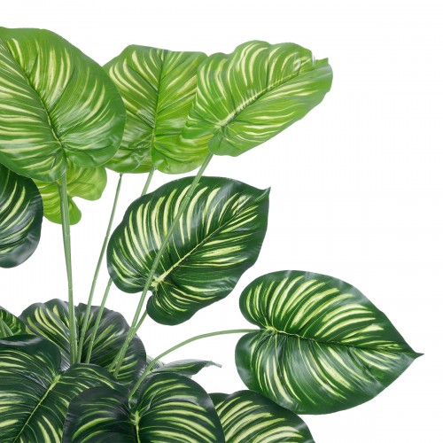 GloboStar® Artificial Garden CALATHEA 20922 Διακοσμητικό Φυτό Καλαθέα Υ80cm Διακόσμηση - Φως - Χαλιά