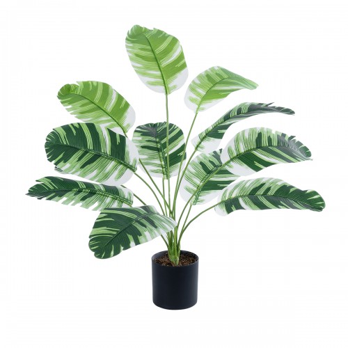 GloboStar® Artificial Garden BANANA ZEBRA 20929 Διακοσμητικό Φυτό Μπανανιά Ζέβρα Υ55cm Διακόσμηση - Φως - Χαλιά GloboStar® Artificial Garden BANANA ZEBRA 20929 Διακοσμητικό Φυτό Μπανανιά Ζέβρα Υ55cm Διακόσμηση - Φως - Χαλιά
