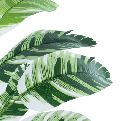 GloboStar® Artificial Garden BANANA ZEBRA 20929 Διακοσμητικό Φυτό Μπανανιά Ζέβρα Υ55cm Διακόσμηση - Φως - Χαλιά GloboStar® Artificial Garden BANANA ZEBRA 20929 Διακοσμητικό Φυτό Μπανανιά Ζέβρα Υ55cm Διακόσμηση - Φως - Χαλιά