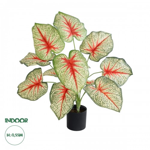 GloboStar® Artificial Garden CALADIUM 20932 Διακοσμητικό Φυτό Καλάντιουμ Υ55cm Διακόσμηση - Φως - Χαλιά GloboStar® Artificial Garden CALADIUM 20932 Διακοσμητικό Φυτό Καλάντιουμ Υ55cm Διακόσμηση - Φως - Χαλιά