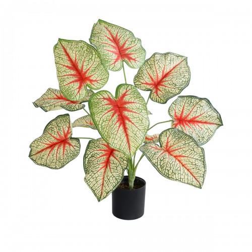 GloboStar® Artificial Garden CALADIUM 20932 Διακοσμητικό Φυτό Καλάντιουμ Υ55cm Διακόσμηση - Φως - Χαλιά GloboStar® Artificial Garden CALADIUM 20932 Διακοσμητικό Φυτό Καλάντιουμ Υ55cm Διακόσμηση - Φως - Χαλιά