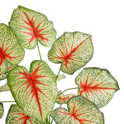 GloboStar® Artificial Garden CALADIUM 20932 Διακοσμητικό Φυτό Καλάντιουμ Υ55cm Διακόσμηση - Φως - Χαλιά GloboStar® Artificial Garden CALADIUM 20932 Διακοσμητικό Φυτό Καλάντιουμ Υ55cm Διακόσμηση - Φως - Χαλιά