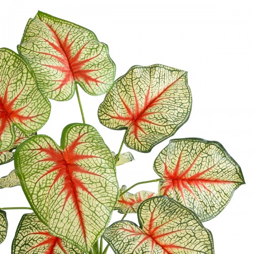 GloboStar® Artificial Garden CALADIUM 20932 Διακοσμητικό Φυτό Καλάντιουμ Υ55cm Διακόσμηση - Φως - Χαλιά GloboStar® Artificial Garden CALADIUM 20932 Διακοσμητικό Φυτό Καλάντιουμ Υ55cm Διακόσμηση - Φως - Χαλιά