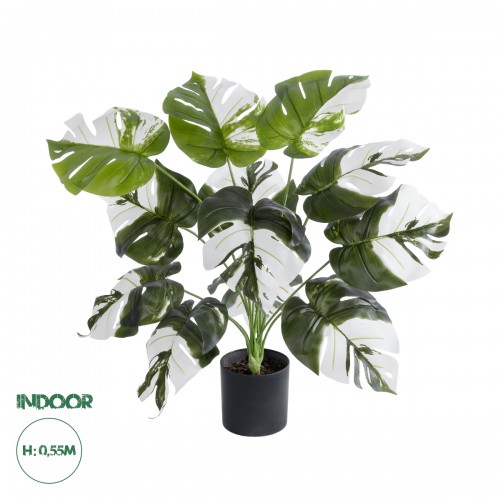 GloboStar® Artificial Garden ALBINO MONSTERA 20935 Διακοσμητικό Φυτό Λευκή Μονστέρα Υ55cm Διακόσμηση - Φως - Χαλιά GloboStar® Artificial Garden ALBINO MONSTERA 20935 Διακοσμητικό Φυτό Λευκή Μονστέρα Υ55cm Διακόσμηση - Φως - Χαλιά