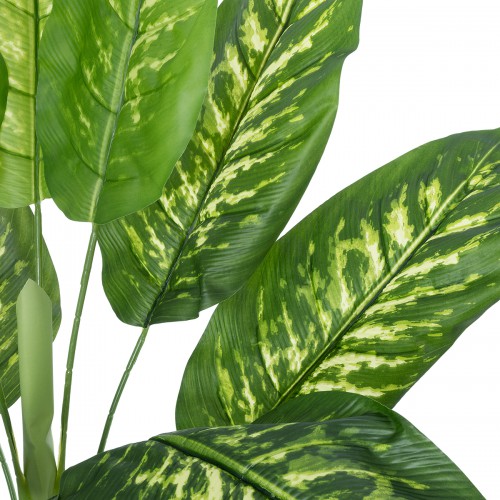 GloboStar® Artificial Garden CALATHEA 20940 Διακοσμητικό Φυτό Καλαθέα Υ90cm Διακόσμηση - Φως - Χαλιά GloboStar® Artificial Garden CALATHEA 20940 Διακοσμητικό Φυτό Καλαθέα Υ90cm Διακόσμηση - Φως - Χαλιά