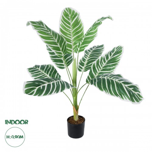 GloboStar® Artificial Garden WHITE ZEBRA 20943 Τεχνητό Διακοσμητικό Φυτό Λευκή Ζέβρα Υ90cm Διακόσμηση - Φως - Χαλιά GloboStar® Artificial Garden WHITE ZEBRA 20943 Τεχνητό Διακοσμητικό Φυτό Λευκή Ζέβρα Υ90cm Διακόσμηση - Φως - Χαλιά