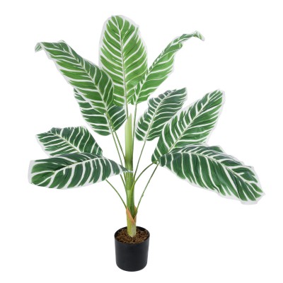 GloboStar® Artificial Garden WHITE ZEBRA PLANT 20943 Τεχνητό Διακοσμητικό Φυτό Λευκή Ζέβρα Φ90 x Υ90cm