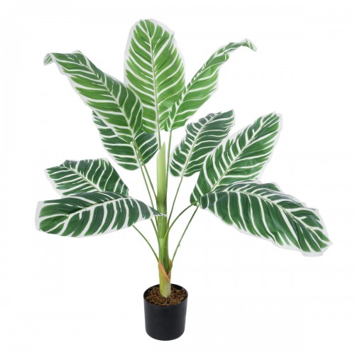 GloboStar® Artificial Garden WHITE ZEBRA 20943 Τεχνητό Διακοσμητικό Φυτό Λευκή Ζέβρα Υ90cm Διακόσμηση - Φως - Χαλιά GloboStar® Artificial Garden WHITE ZEBRA 20943 Τεχνητό Διακοσμητικό Φυτό Λευκή Ζέβρα Υ90cm Διακόσμηση - Φως - Χαλιά