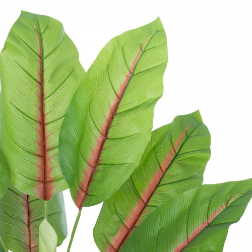 GloboStar® Artificial Garden BLOOD BANANA 20944 Διακοσμητικό Φυτό Αιματόφυλλη Μπανανιά Υ90cm Διακόσμηση - Φως - Χαλιά GloboStar® Artificial Garden BLOOD BANANA 20944 Διακοσμητικό Φυτό Αιματόφυλλη Μπανανιά Υ90cm Διακόσμηση - Φως - Χαλιά