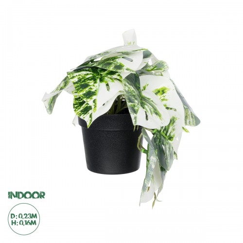 GloboStar® Artificial Garden ALBINO MONSTERA PLANT 20946 Διακοσμητικό Φυτό Μονστέρα Φ23 x Υ16cm Διακόσμηση - Φως - Χαλιά GloboStar® Artificial Garden ALBINO MONSTERA PLANT 20946 Διακοσμητικό Φυτό Μονστέρα Φ23 x Υ16cm Διακόσμηση - Φως - Χαλιά