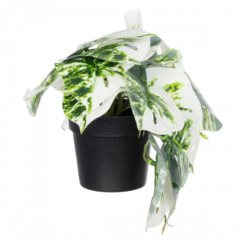 GloboStar® Artificial Garden ALBINO MONSTERA PLANT 20946 Διακοσμητικό Φυτό Μονστέρα Φ23 x Υ16cm Διακόσμηση - Φως - Χαλιά GloboStar® Artificial Garden ALBINO MONSTERA PLANT 20946 Διακοσμητικό Φυτό Μονστέρα Φ23 x Υ16cm Διακόσμηση - Φως - Χαλιά