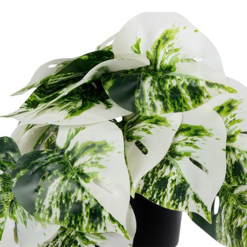 GloboStar® Artificial Garden ALBINO MONSTERA PLANT 20946 Διακοσμητικό Φυτό Μονστέρα Φ23 x Υ16cm Διακόσμηση - Φως - Χαλιά GloboStar® Artificial Garden ALBINO MONSTERA PLANT 20946 Διακοσμητικό Φυτό Μονστέρα Φ23 x Υ16cm Διακόσμηση - Φως - Χαλιά