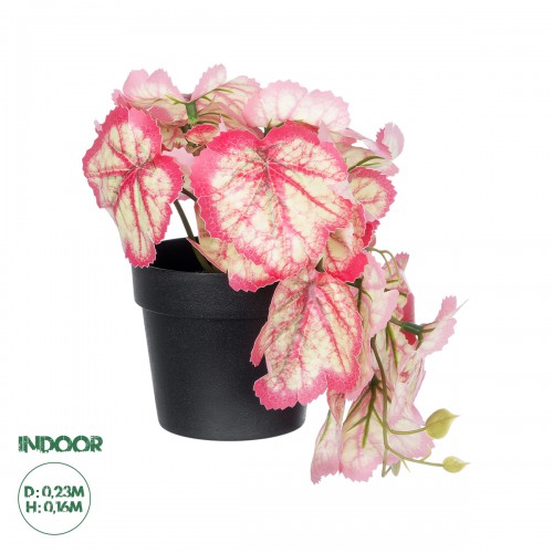 GloboStar® Artificial Garden RED BEGONIA PLANT 20948 Διακοσμητικό Φυτό Κόκκινη Μπιγόνια Φ23 x Υ16cm Διακόσμηση - Φως - Χαλιά GloboStar® Artificial Garden RED BEGONIA PLANT 20948 Διακοσμητικό Φυτό Κόκκινη Μπιγόνια Φ23 x Υ16cm Διακόσμηση - Φως - Χαλιά