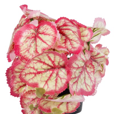 GloboStar® Artificial Garden RED BEGONIA PLANT 20948 Διακοσμητικό Φυτό Κόκκινη Μπιγόνια Φ23 x Υ16cm Διακόσμηση - Φως - Χαλιά GloboStar® Artificial Garden RED BEGONIA PLANT 20948 Διακοσμητικό Φυτό Κόκκινη Μπιγόνια Φ23 x Υ16cm Διακόσμηση - Φως - Χαλιά