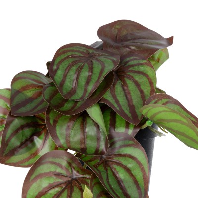 GloboStar® Artificial Garden BROWN PEPEROMIA PLANT 20952 Διακοσμητικό Φυτό Καφέ Πεπερόμια Φ23 x Υ16cm Διακόσμηση - Φως - Χαλιά GloboStar® Artificial Garden BROWN PEPEROMIA PLANT 20952 Διακοσμητικό Φυτό Καφέ Πεπερόμια Φ23 x Υ16cm Διακόσμηση - Φως - Χαλιά