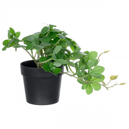 GloboStar® Artificial Garden SCHEFFLERA PLANT 20954 Διακοσμητικό Φυτό Σεφλέρα Φ18 x Υ17cm Διακόσμηση - Φως - Χαλιά GloboStar® Artificial Garden SCHEFFLERA PLANT 20954 Διακοσμητικό Φυτό Σεφλέρα Φ18 x Υ17cm Διακόσμηση - Φως - Χαλιά