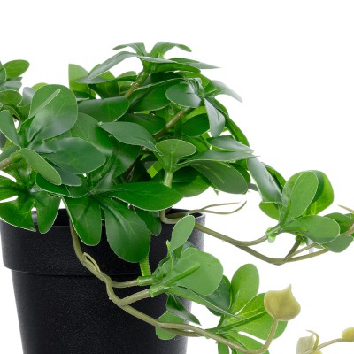 GloboStar® Artificial Garden SCHEFFLERA PLANT 20954 Διακοσμητικό Φυτό Σεφλέρα Φ18 x Υ17cm Διακόσμηση - Φως - Χαλιά GloboStar® Artificial Garden SCHEFFLERA PLANT 20954 Διακοσμητικό Φυτό Σεφλέρα Φ18 x Υ17cm Διακόσμηση - Φως - Χαλιά