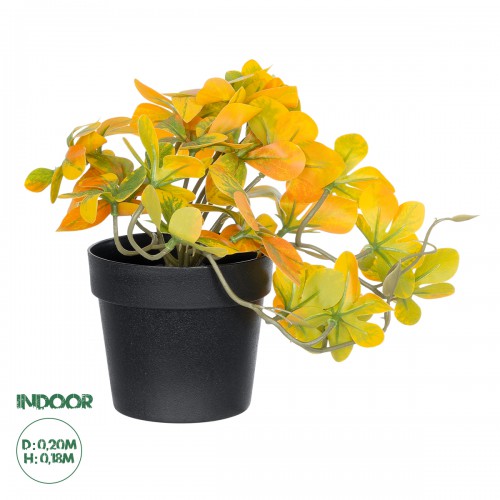 GloboStar® Artificial Garden SCHEFFLERA MIX PLANT 20955 Διακοσμητικό Φυτό Σεφλέρα Φ20 x Υ18cm Διακόσμηση - Φως - Χαλιά GloboStar® Artificial Garden SCHEFFLERA MIX PLANT 20955 Διακοσμητικό Φυτό Σεφλέρα Φ20 x Υ18cm Διακόσμηση - Φως - Χαλιά