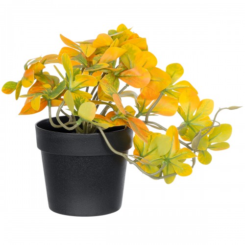 GloboStar® Artificial Garden SCHEFFLERA MIX PLANT 20955 Διακοσμητικό Φυτό Σεφλέρα Φ20 x Υ18cm Διακόσμηση - Φως - Χαλιά GloboStar® Artificial Garden SCHEFFLERA MIX PLANT 20955 Διακοσμητικό Φυτό Σεφλέρα Φ20 x Υ18cm Διακόσμηση - Φως - Χαλιά