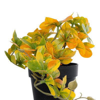 GloboStar® Artificial Garden SCHEFFLERA MIX PLANT 20955 Διακοσμητικό Φυτό Σεφλέρα Φ20 x Υ18cm Διακόσμηση - Φως - Χαλιά GloboStar® Artificial Garden SCHEFFLERA MIX PLANT 20955 Διακοσμητικό Φυτό Σεφλέρα Φ20 x Υ18cm Διακόσμηση - Φως - Χαλιά