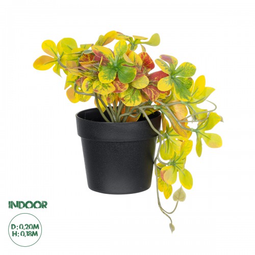 GloboStar® Artificial Garden SCHEFFLERA MIX PLANT 20956 Διακοσμητικό Φυτό Σεφλέρα Φ20 x Υ18cm Διακόσμηση - Φως - Χαλιά GloboStar® Artificial Garden SCHEFFLERA MIX PLANT 20956 Διακοσμητικό Φυτό Σεφλέρα Φ20 x Υ18cm Διακόσμηση - Φως - Χαλιά