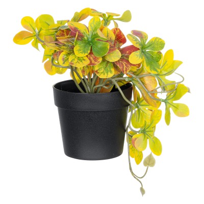 GloboStar® Artificial Garden SCHEFFLERA MIX PLANT 20956 Διακοσμητικό Φυτό Σεφλέρα Φ20 x Υ18cm GloboStar® Artificial Garden SCHEFFLERA MIX PLANT 20956 Διακοσμητικό Φυτό Σεφλέρα Φ20 x Υ18cm