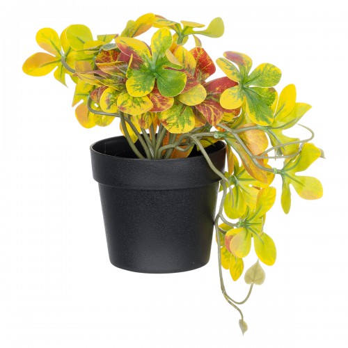 GloboStar® Artificial Garden SCHEFFLERA MIX PLANT 20956 Διακοσμητικό Φυτό Σεφλέρα Φ20 x Υ18cm Διακόσμηση - Φως - Χαλιά GloboStar® Artificial Garden SCHEFFLERA MIX PLANT 20956 Διακοσμητικό Φυτό Σεφλέρα Φ20 x Υ18cm Διακόσμηση - Φως - Χαλιά
