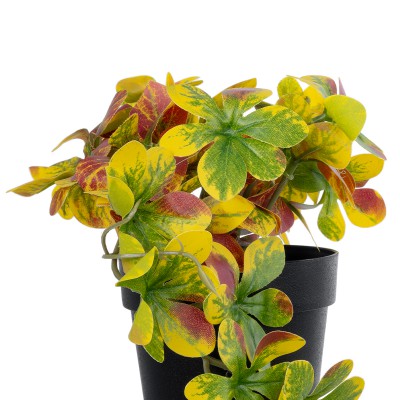 GloboStar® Artificial Garden SCHEFFLERA MIX PLANT 20956 Διακοσμητικό Φυτό Σεφλέρα Φ20 x Υ18cm Διακόσμηση - Φως - Χαλιά GloboStar® Artificial Garden SCHEFFLERA MIX PLANT 20956 Διακοσμητικό Φυτό Σεφλέρα Φ20 x Υ18cm Διακόσμηση - Φως - Χαλιά