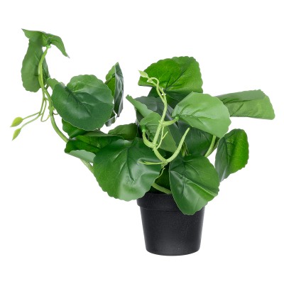 GloboStar® Artificial Garden BELL PLANT 20957 Διακοσμητικό Φυτό Σεφλέρα Φ47 x Υ22cm GloboStar® Artificial Garden BELL PLANT 20957 Διακοσμητικό Φυτό Σεφλέρα Φ47 x Υ22cm