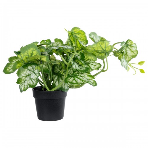 GloboStar® Artificial Garden BEGONIA PLANT 20958 Διακοσμητικό Φυτό Βιγόνια Φ47 x Υ22cm Διακόσμηση - Φως - Χαλιά GloboStar® Artificial Garden BEGONIA PLANT 20958 Διακοσμητικό Φυτό Βιγόνια Φ47 x Υ22cm Διακόσμηση - Φως - Χαλιά